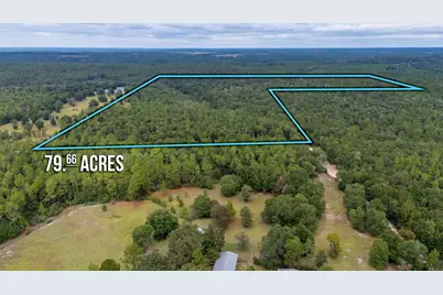 79 Acres Bucking Up Road, Laurel Hill, FL 32567 - Photo 2