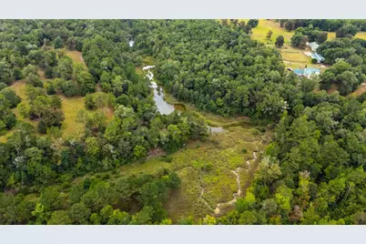 79 Acres Bucking Up Road, Laurel Hill, FL 32567 - Photo 6