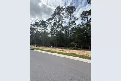 241 Foxglove Run, Niceville, FL 32578 - Photo 2
