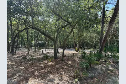 Xx Turquoise Beach Drive, Santa Rosa Beach, FL 32459 - Photo 2