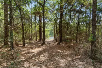 1259 Martin Rd Road, Defuniak Springs, FL 32433 - Photo 16