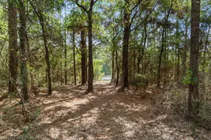 1259 Martin Rd Rd, Defuniak Springs, FL 32433 - Photo 16