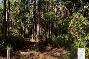 Lot 12 S 14th St, Santa Rosa Beach, FL 32459 - Photo 1