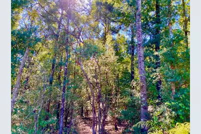 2.37Ac. Martin Road, Defuniak Springs, FL 32433 - Photo 12