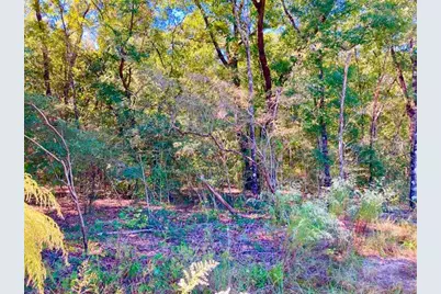 2.37Ac. Martin Road, Defuniak Springs, FL 32433 - Photo 14
