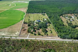 13796 FL-81, Ponce de Leon, FL 32455 - Photo 8