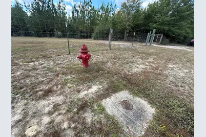 Parcel A New Ebenezer Road, Laurel Hill, FL 32567 - Photo 6