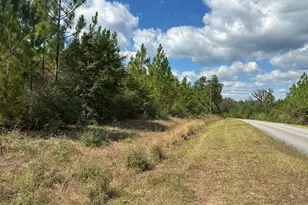 Parcel A New Ebenezer Rd, Laurel Hill, FL 32567 - Photo 1