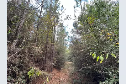 Parcel A New Ebenezer Road, Laurel Hill, FL 32567 - Photo 8