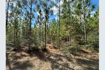 Parcel A New Ebenezer Road, Laurel Hill, FL 32567 - Photo 4