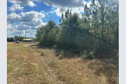 Parcel A New Ebenezer Road, Laurel Hill, FL 32567 - Photo 2