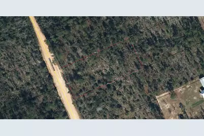 Lot 7 Mayflower Drive, Marianna, FL 32448 - Photo 2