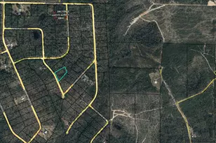 Lot 13 Manor St, Marianna, FL 32448 - Photo 1