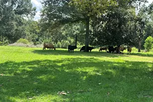Lot 4 Bullard Rd, Milton, FL 32570 - Photo 1
