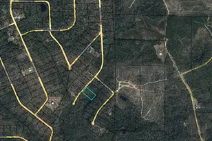 Lot 13 Hibiscus St, Marianna, FL 32448 - Photo 1