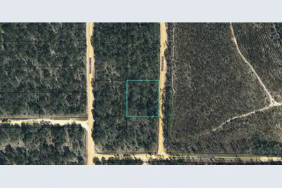 Lot 7 Dorcas Road, Marianna, FL 32448 - Photo 2