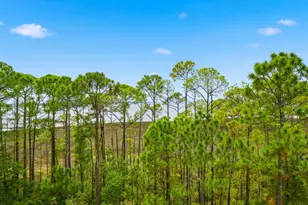 9700 Grand Sandestin Blvd, Miramar Beach, FL 32550 - Photo 46