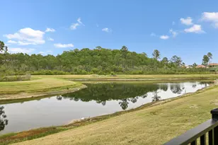 120 N Southern Cross Ln, Inlet Beach, FL 32461 - Photo 104
