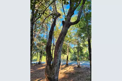 Lot 37 Diane Place, Chipley, FL 32428 - Photo 8