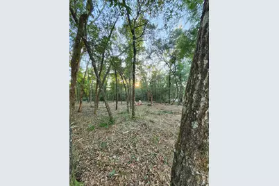 Lot 37 Diane Place, Chipley, FL 32428 - Photo 38