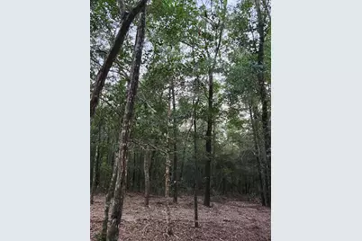 Lot 37 Diane Place, Chipley, FL 32428 - Photo 30