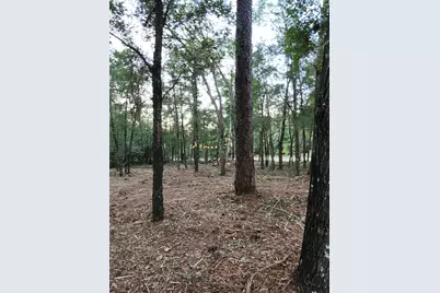 Lot 37 Diane Place, Chipley, FL 32428 - Photo 32