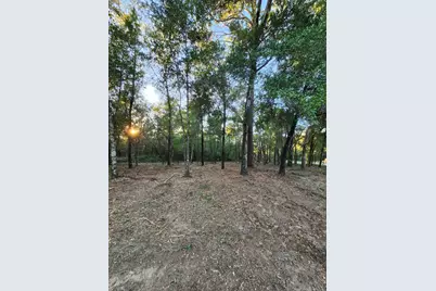 Lot 37 Diane Place, Chipley, FL 32428 - Photo 44