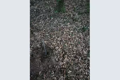 Lot 37 Diane Place, Chipley, FL 32428 - Photo 22