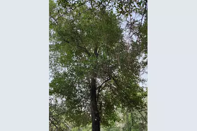 Lot 37 Diane Place, Chipley, FL 32428 - Photo 28