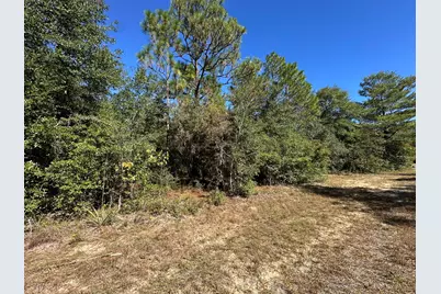Parcel B Bear Head Road, Crestview, FL 32539 - Photo 2