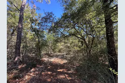 Parcel B Bear Head Road, Crestview, FL 32539 - Photo 6