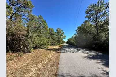 Tbd Bear Head Road, Crestview, FL 32539 - Photo 10