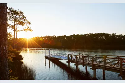 305 Pollard Cove East #Lot 94, Watersound, FL 32461 - Photo 30