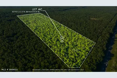 17 Acres Lyons Place, Holt, FL 32564 - Photo 1