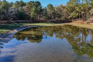 1981 Parrish Rd Rd, Florala, AL 36442 - Photo 54