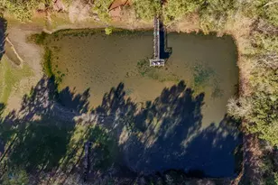 1981 Parrish Rd Rd, Florala, AL 36442 - Photo 56
