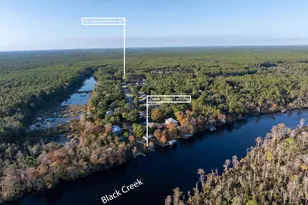 65 Happy Hollow Rd, Freeport, FL 32439 - Photo 52