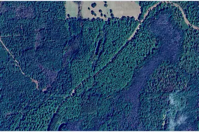 5 Canopy Oaks Blvd, Bonifay, FL 32425 - Photo 2