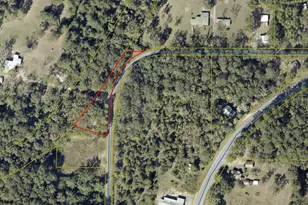 228 Double Bridge Rd, Laurel Hill, FL 32567 - Photo 20