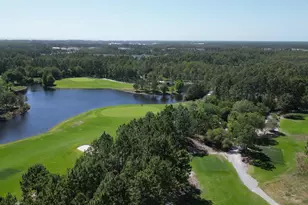 86 Conifer Ct, Inlet Beach, FL 32461 - Photo 36