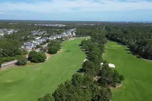 86 Conifer Ct, Inlet Beach, FL 32461 - Photo 4
