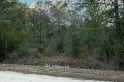 117 Jolly Bay and 221 Johnson Road, Freeport, FL 32439 - Photo 8