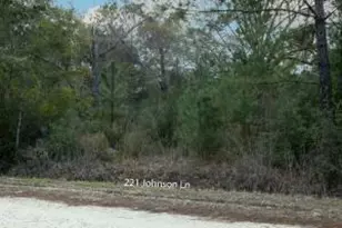117 Jolly Bay and 221 Johnson Rd, Freeport, FL 32439 - Photo 8