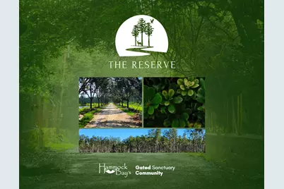 Lot 5 Reserve At Hammock Bay, Freeport, FL 32439 - Photo 1