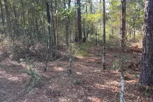 X Blue Ridge Blvd, Defuniak Springs, FL 32433 - Photo 1