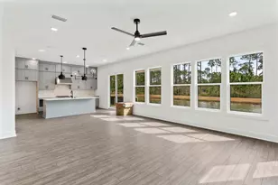 132 Brizo Ln, Santa Rosa Beach, FL 32459 - Photo 2