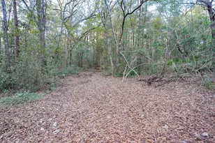 4444 Sundance Way, Holt, FL 32564 - Photo 36