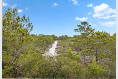 135 Gulfview Circle, Santa Rosa Beach, FL 32459 - Photo 36