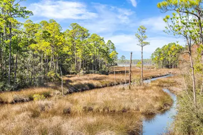 1317 N Co Highway 393, Santa Rosa Beach, FL 32459 - Photo 6