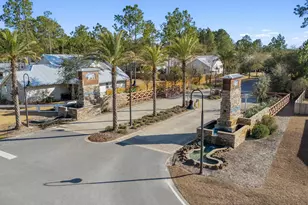 29 Spirit Bear Wy, Freeport, FL 32439 - Photo 28